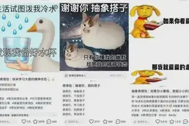 年轻人玩的“抽象”，其实挺“具象” 丨 睡前聊一会儿图片