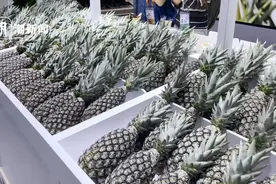 潮声丨不远万里，非洲水果奔向你图片