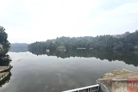 水润蜀乡丨以水养库 让水库“活”起来图片