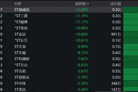 “严格执行退市制度”，低价股、壳资源、微盘股、亏损股重挫！图片