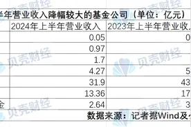 21家基金公司半年考：仅4家净利见涨，诺安基金跌破亿元图片