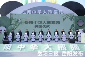 今天，岳阳中华大熊猫苑开园！附游玩攻略图片