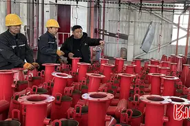 记者走基层·来自一线的改革故事｜污染环节上“绿岛” 生产环保两不误图片