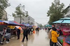武汉新洲花朝节开市：庆花神生日已有8百年历史，万人赶集2400多个摊位绵延数公里图片