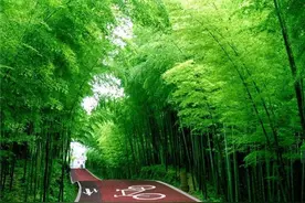 常州新北：以“绿”为笔，绘就生态文明新画卷图片