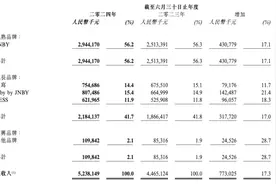 55万“淡人”，买爆江南布衣图片