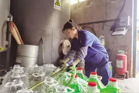 助残工厂里的温暖与微笑图片