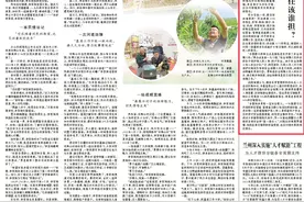 停车场升降杆砸伤人，该谁担责？图片
