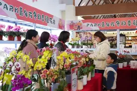 周末趣玩指南！冬日幸福花市，新春年味等你来寻→图片