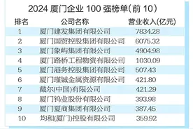 2024厦门企业百强系列榜单出炉图片