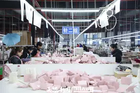 普安高质量发展·复产潮音唤醒春日繁华②｜箱包车间：潮流时尚在这里制造图片