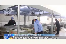 就业“二十四条”有哪些新提法？哪些与你密切相关？专家解读→图片