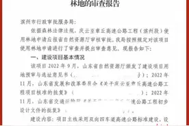 邹平市行政审批服务局：庆章高速项目林地审批快速办图片