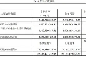V观财报｜梅花生物上半年营收同比降6.96%：味精等售价下降图片