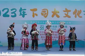 到凯里下司，“撸”世界名犬图片