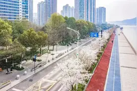 3月30日相约“最美跑道”，跑进杭州的春天图片
