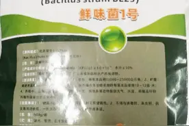 2023工博会 | 上海海洋大学：去除水产品土腥味有妙招图片