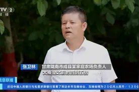 甘肃成县核桃迎丰收！无人机助力，核桃转运降本增效图片