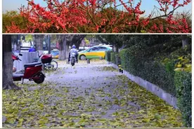 “倒春寒”来了！大风降温持续进行时图片