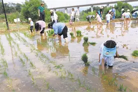 西平街道实现从“节点旅游”向“全域旅游”转变图片