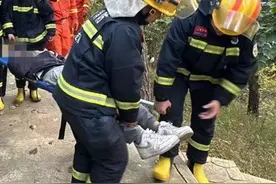 事发大连一小区附近！男子突然听到有人喊……报警了图片