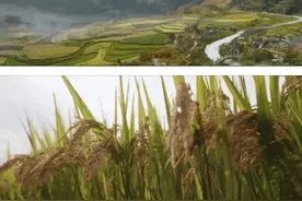 因为一部剧，让温州这个宝藏古村火出了圈！网友：太美了，好想打卡同款美照图片