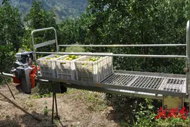 保靖县：安装山地单轨“小火车” 助力优化营商环境图片