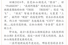 资本市场乘“市”而上，“含金量还在上升”｜热词里的松山湖图片