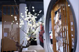春意盎然年味浓！石家庄市植物园新春花展邀您花式过年图片