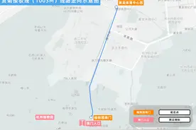 杭州秋天另一“顶流”归来！赏菊接驳线已上线，还有专属主题巴士图片