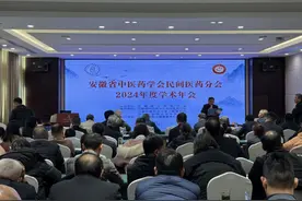安徽中医药学会民间医药分会2024学术年会在黄山举行图片