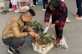 成都嬢嬢一口流利英语卖水果走红：来拍视频的人多了，但生意没变化图片
