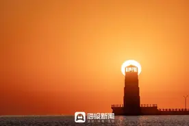 众拍 | 向着太阳遇见你图片