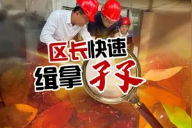 清沟倒盆，杀虫灭蚊！区长快速缉拿孑孓图片