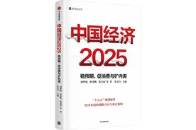 曹远征解析：中国经济是“追赶”还是“被追赶”图片