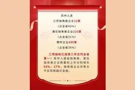 又双叒是第一！苏州这些企业上榜啦！图片