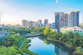 生态文明导刊丨海口美兰：水清岸绿万鸟归图片