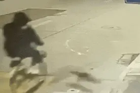 上海一男子骑车上班途中，被流浪猫撞飞！该找谁索赔？图片