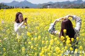 安徽宣城：春来仁里 油菜花开香满村图片