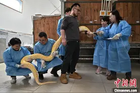 直击太原动物园春季防疫现场图片