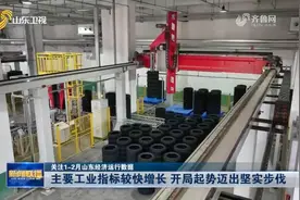 关注1-2月山东经济运行数据｜主要工业指标较快增长 开局起势迈出坚实步伐图片