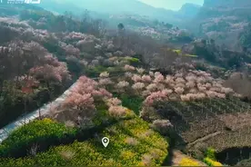 绵阳平武变身“花花世界” 邀您一起“上春山”｜走花路图片
