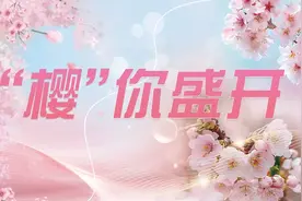 他们镜头下的樱花，好美！“樱”你盛开摄影征集活动获奖名单来啦图片