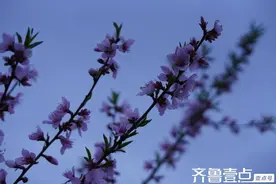 青未了丨一万次荡漾图片