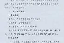 广发银行不良资产大甩卖！超18亿不良贷款低价转让图片