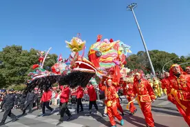 好热闹！6条浦江板凳龙闹新春，每天30多场表演持续到元宵图片