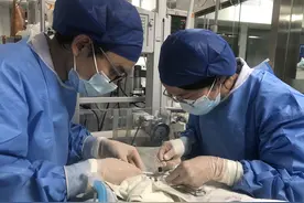 出生时只有一瓶矿泉水重的早产儿，5个月后长到7斤2两出院！图片