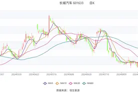 长城汽车：2024年上半年净利润70.79亿元 同比增长419.99%图片