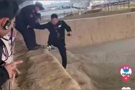 男子跳进兵马俑一号坑受罚，此前还有假兵马俑被游客发现“眼睛在动”，警察将其抬出坑图片