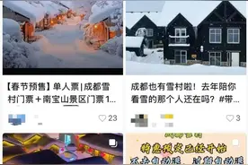 棉花当雪、肥皂水“降雪”……成都高仿“雪村”引争议！景区回应图片